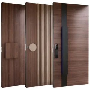 Customized Doors
