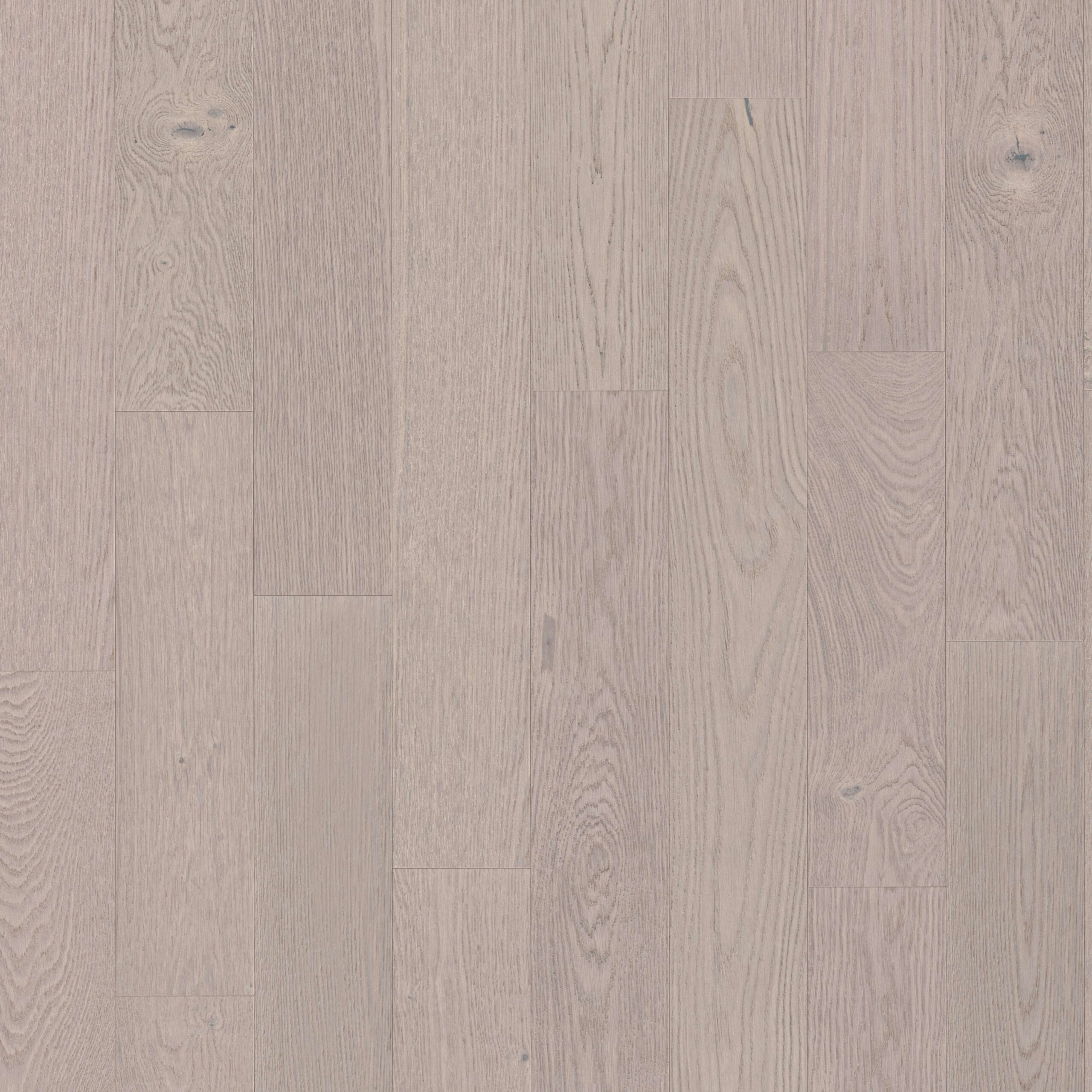 Arctic Oak Solid Wood Flooring
