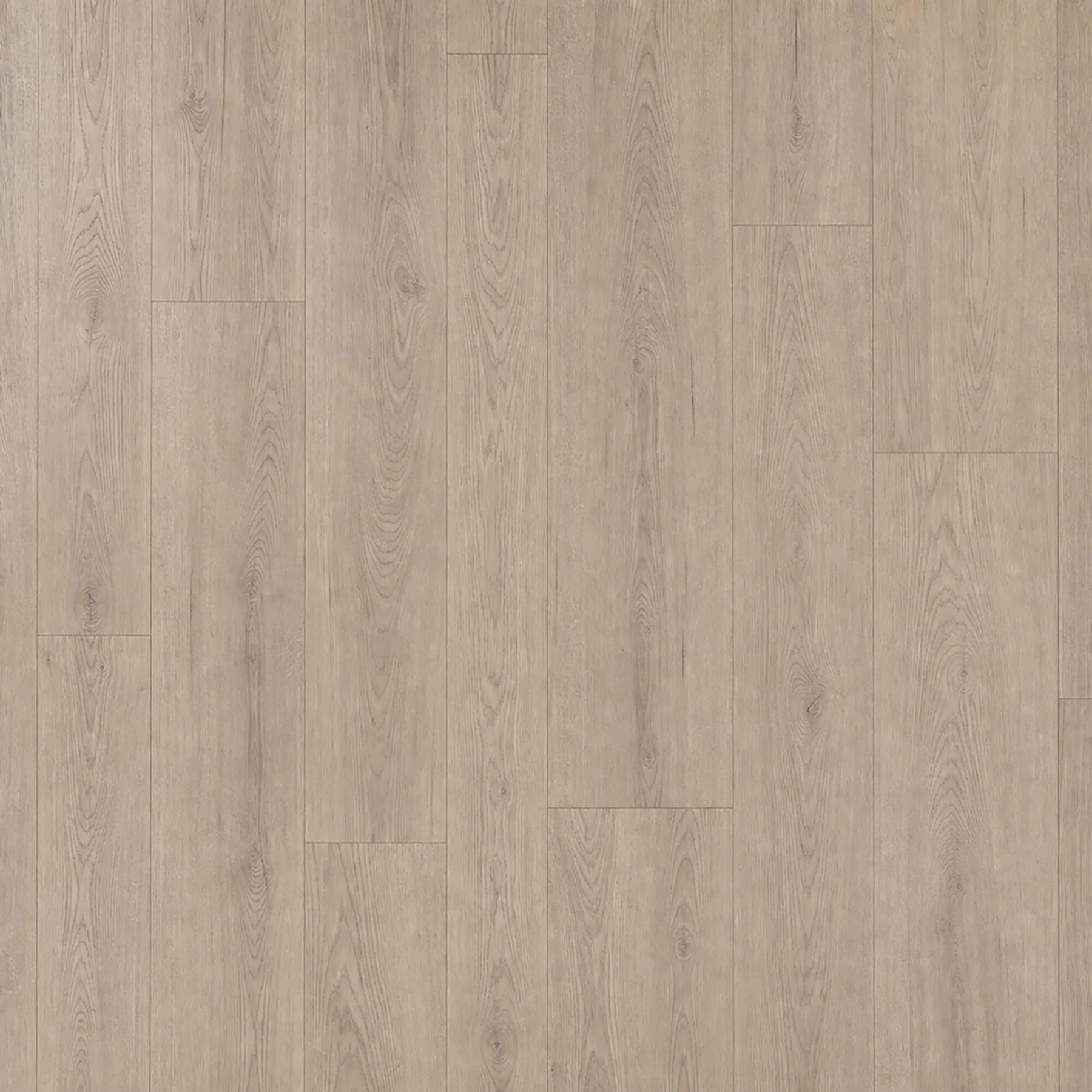 Carpenter Oak Laminate Flooring